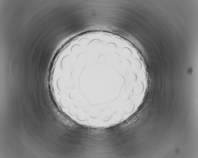 X0000116891020201002021204