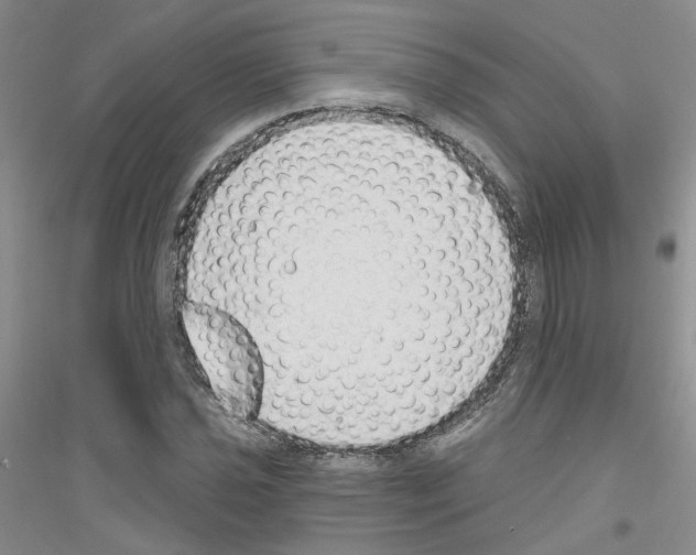 X0000116891021201002021205