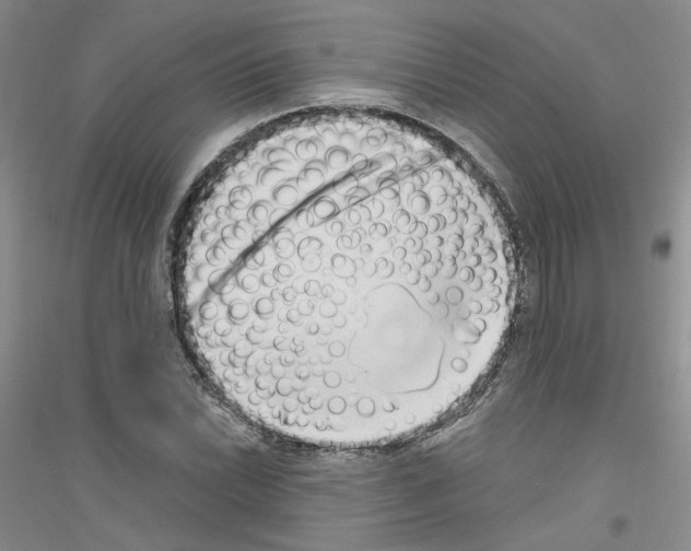 X0000116891022201002021205