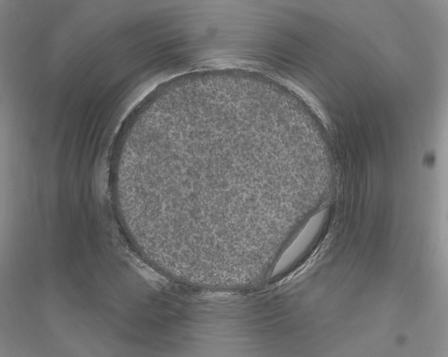 X0000116891023201002021205