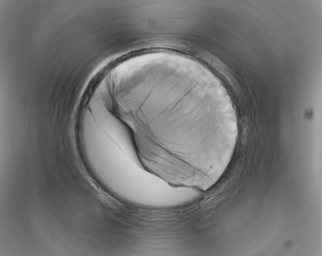 X0000116891024201002021205