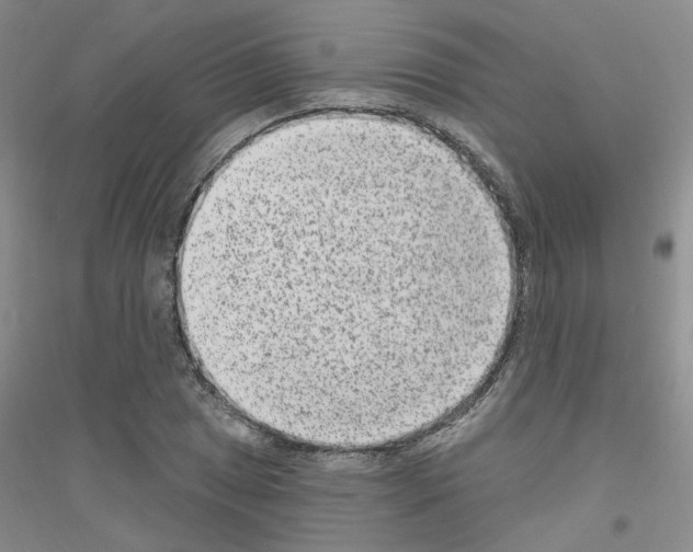 X0000116891025201002021205