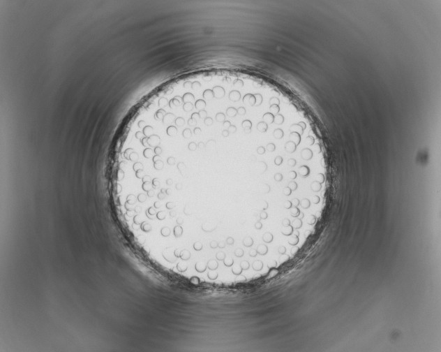 X0000116891026201002021205