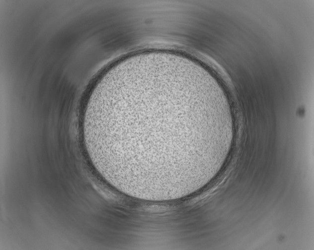 X0000116891027201002021205