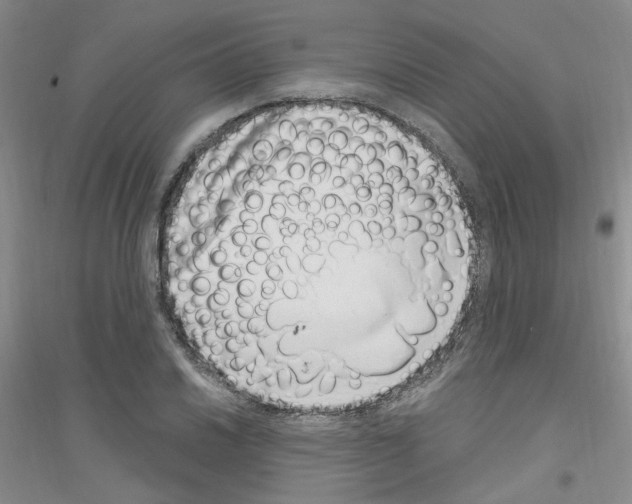 X0000116891030201002021205