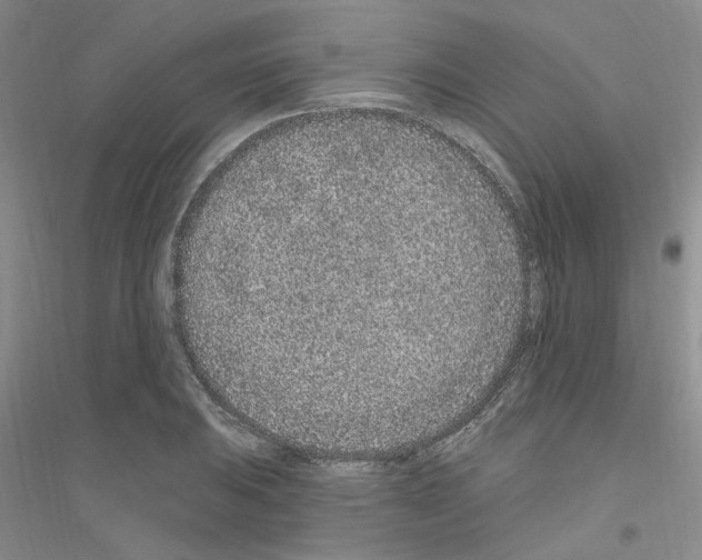 X0000116891031201002021205