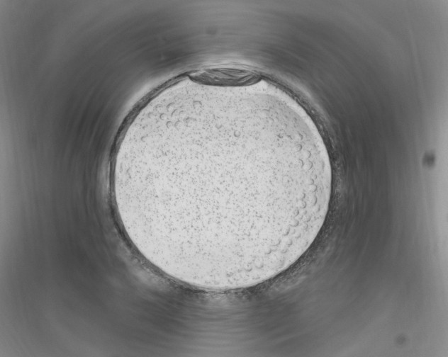 X0000116891032201002021205