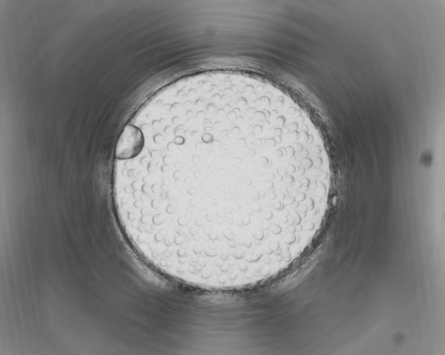 X0000116891033201002021205