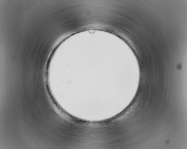 X0000116891034201002021205