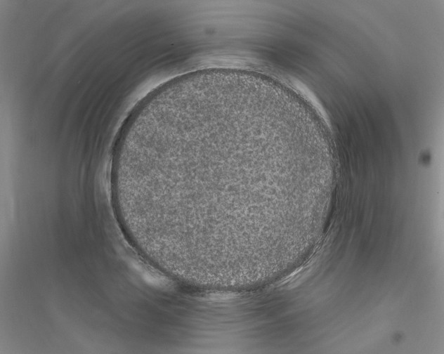 X0000116891035201002021205