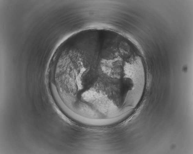 X0000116891037201002021205