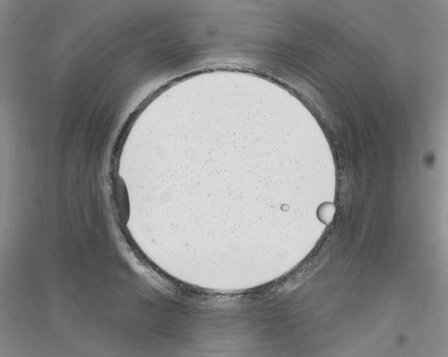 X0000116891038201002021205