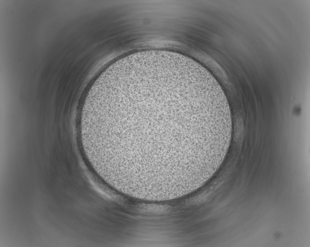 X0000116891039201002021205