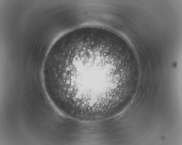 X0000116891040201002021205