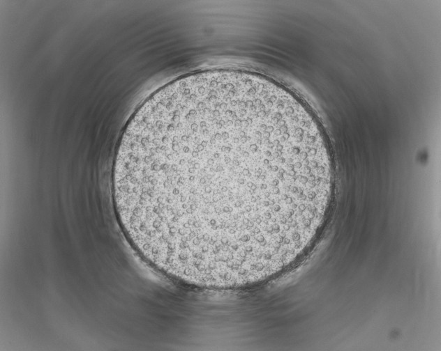 X0000116891041201002021205