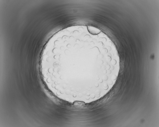 X0000116891042201002021205