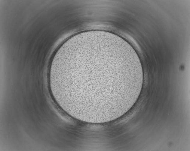 X0000116891043201002021205