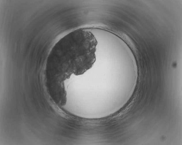 X0000116891044201002021205