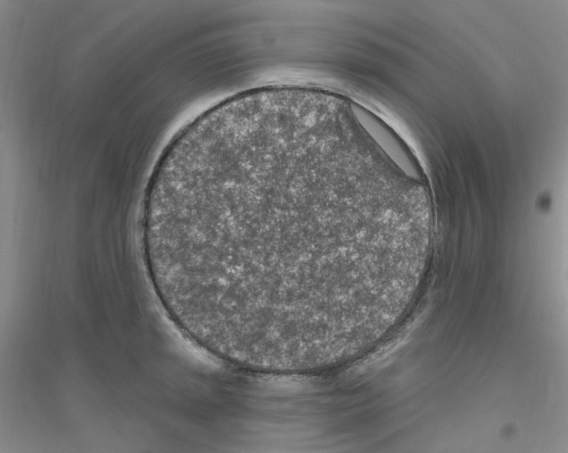 X0000116891045201002021205