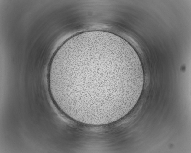 X0000116891047201002021205