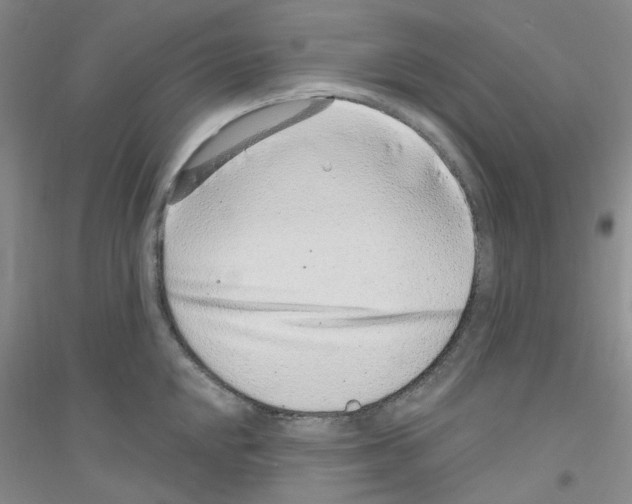 X0000116891048201002021205