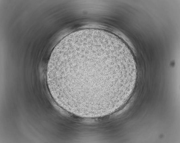 X0000116891049201002021205