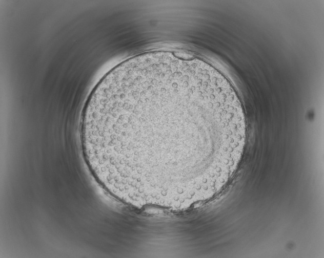 X0000116891050201002021205