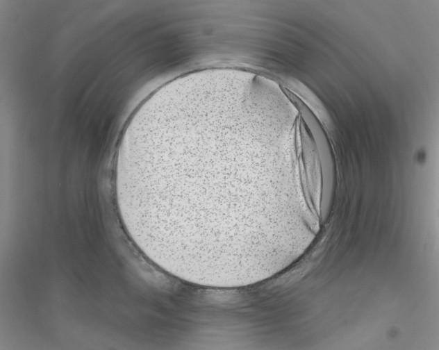 X0000116891052201002021205