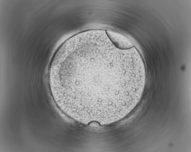 X0000116891053201002021205