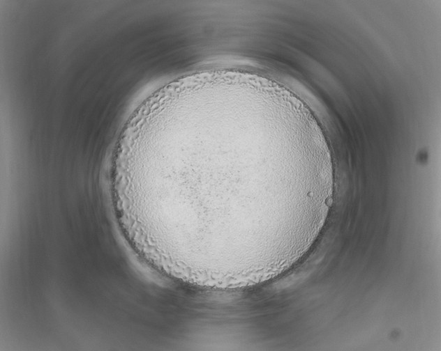 X0000116891055201002021205