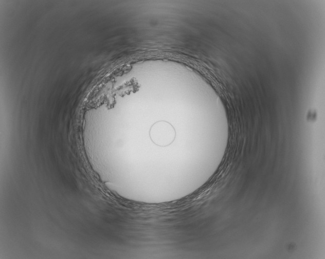 X0000116891057201002021204