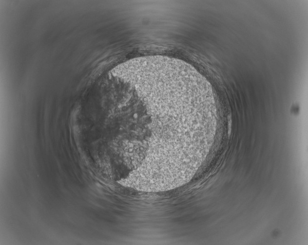 X0000116891059201002021204