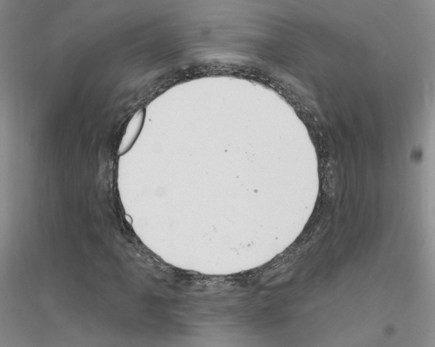 X0000116891061201002021204