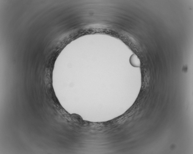 X0000116891062201002021204