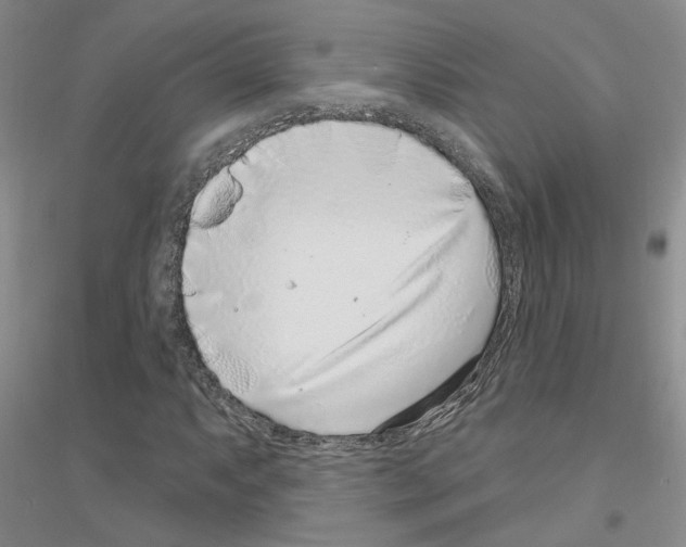 X0000116891063201002021204