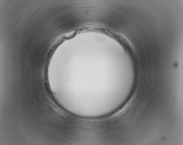 X0000116891065201002021204