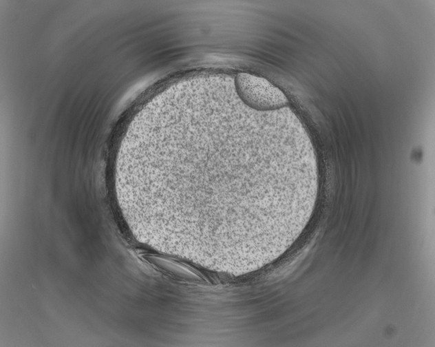 X0000116891066201002021204