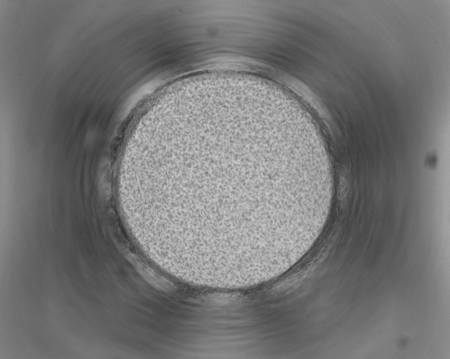 X0000116891067201002021204