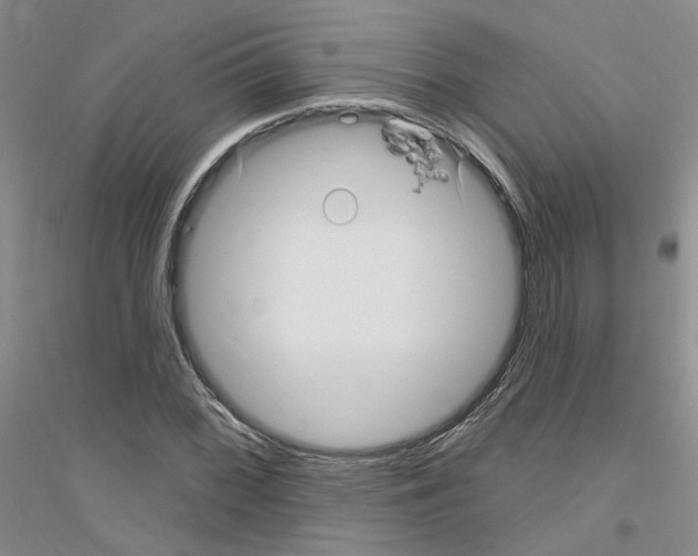 X0000116891068201002021204