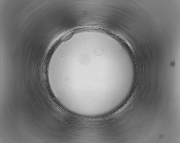 X0000116891069201002021204