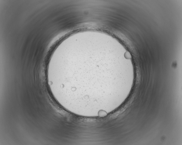 X0000116891070201002021204