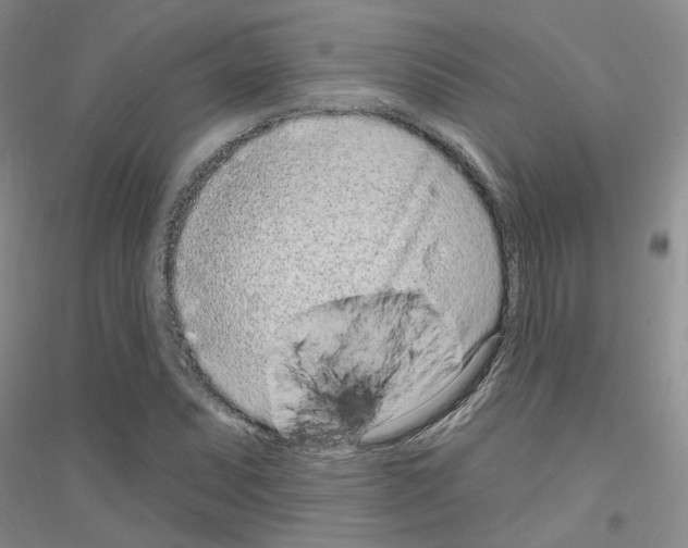 X0000116891071201002021204