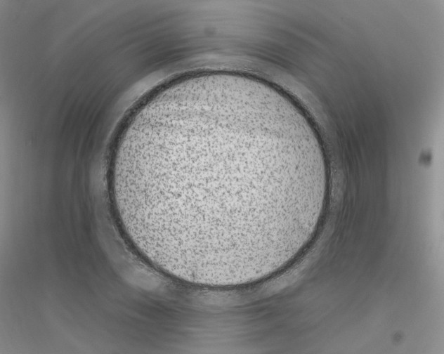 X0000116891074201002021204