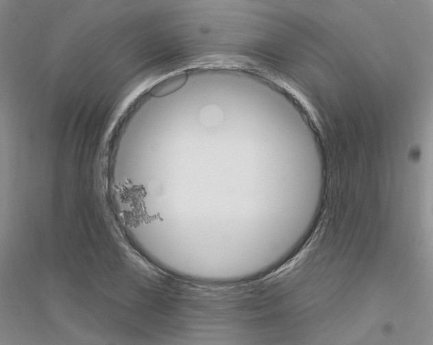 X0000116891075201002021204