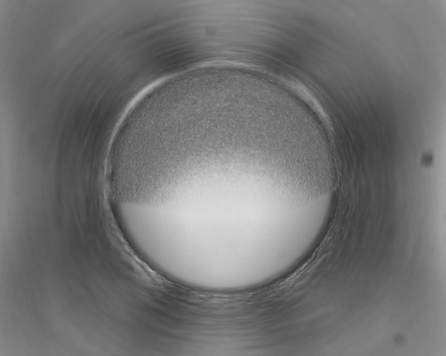 X0000116891076201002021204