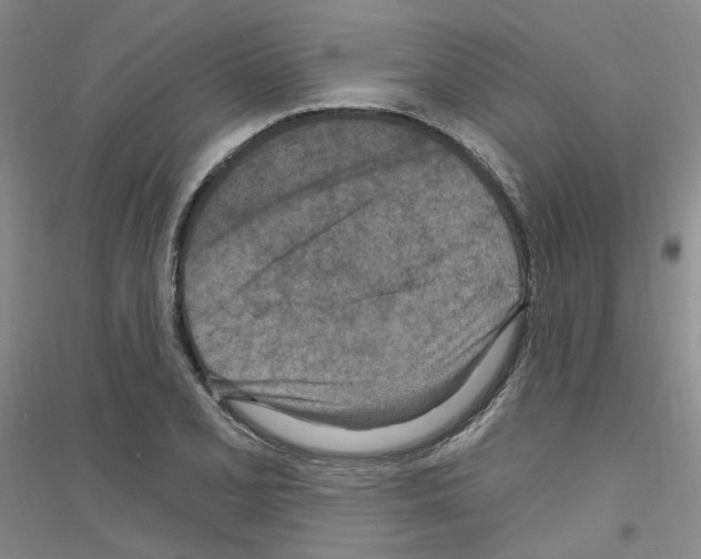 X0000116891077201002021204