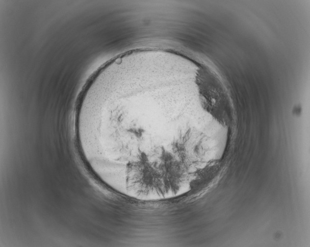 X0000116891079201002021204