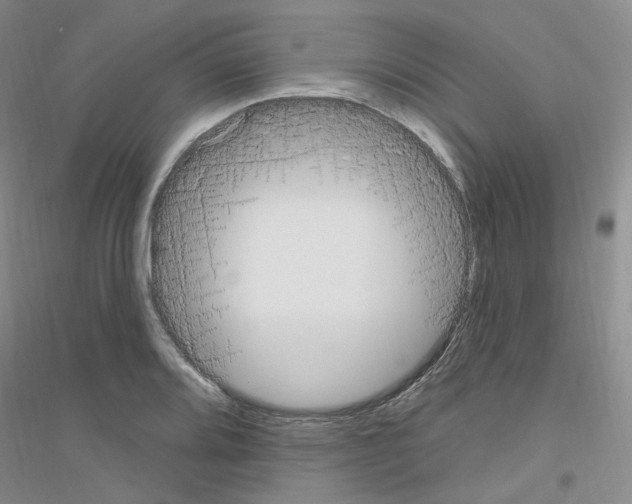 X0000116891080201002021204