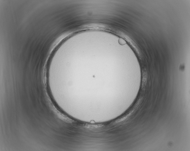 X0000116891082201002021204