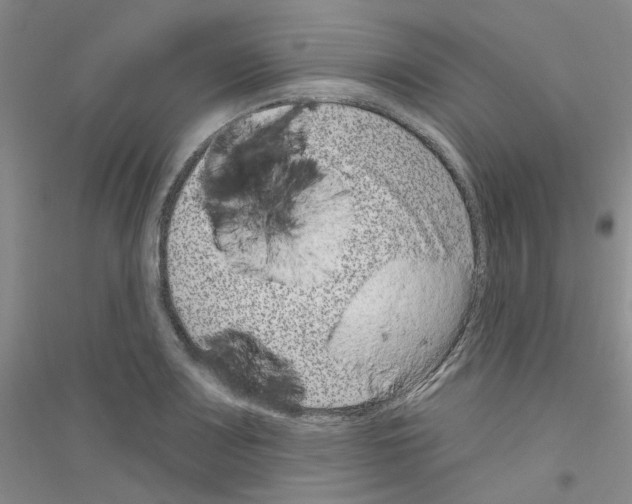 X0000116891083201002021204